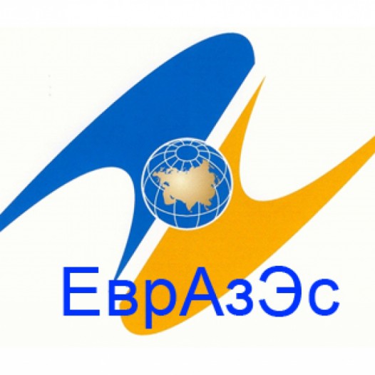 Institution of EurAsES
